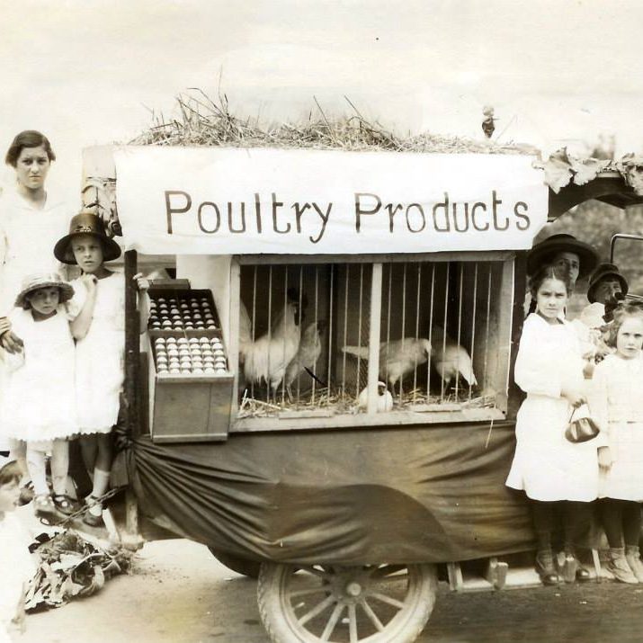 A historic glimpse of Puyallup's agricultural roots, showcasing the essential poultry trade.