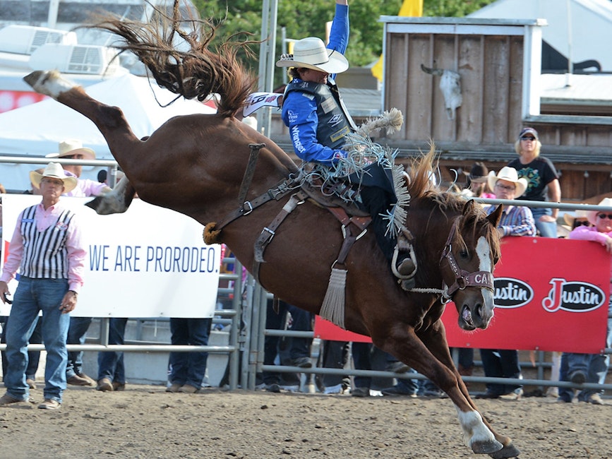 10 Reasons the Washington State Fair Is a Must-See This Year