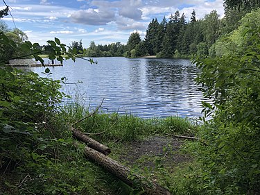 Fall in Love with Nature: A Day at Bradley Lake Park