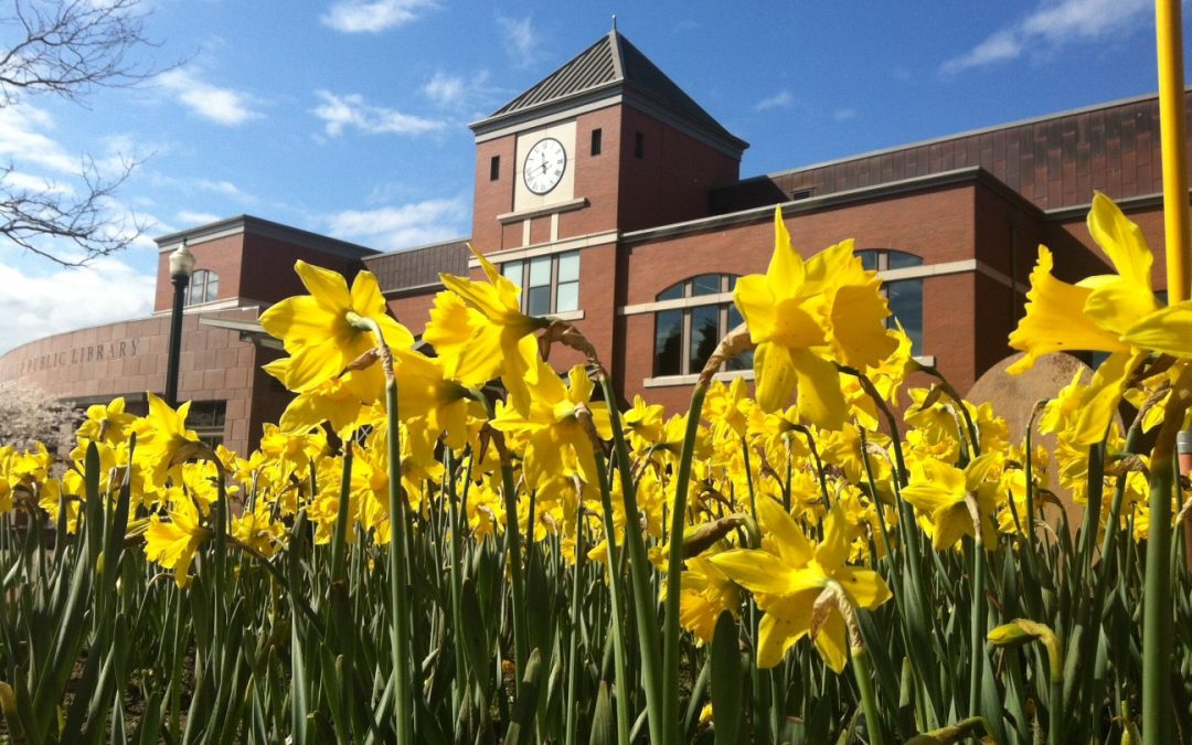 Discover Family Fun at the Puyallup Public Library